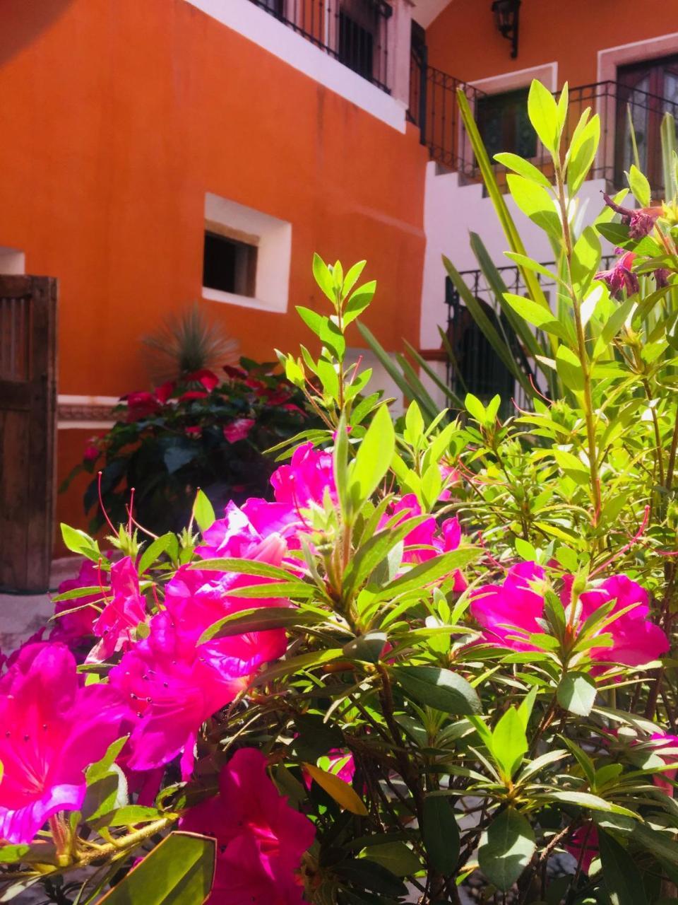 Casa Pozo Del Rayo Hotel Boutique ドローレス・イダルゴ エクステリア 写真